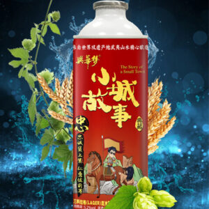 Xinghua Dream Town Story : Cultural Collection Edition 1L